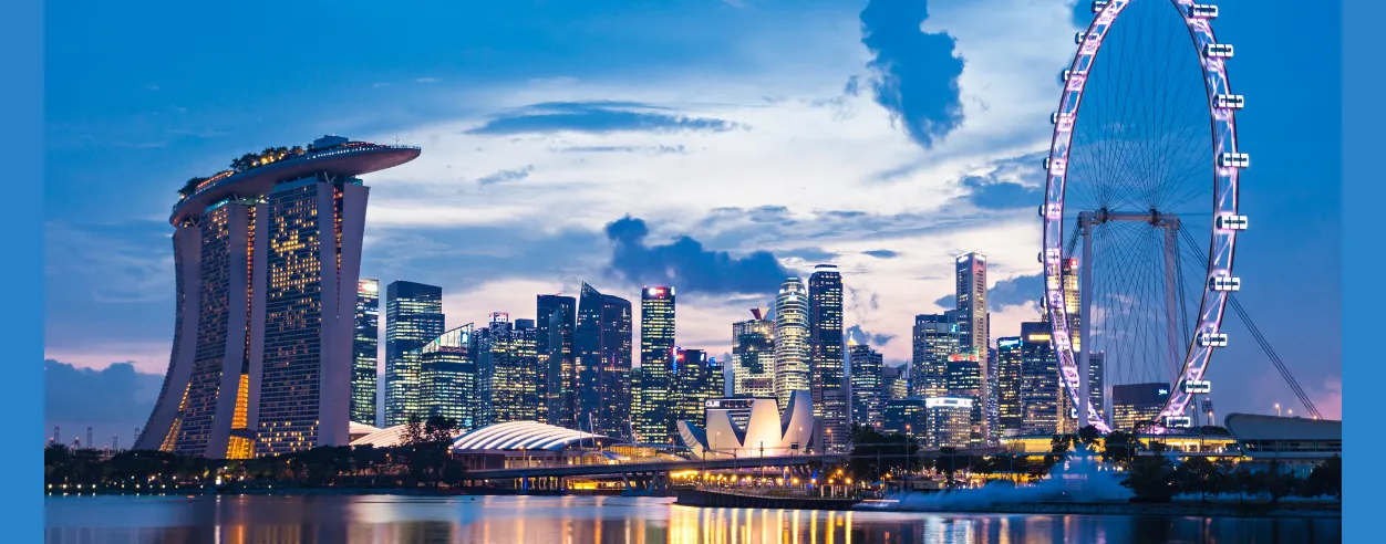 Singapore's digital government reveals room for improvement on accessibility, site performance report (1)_11zon